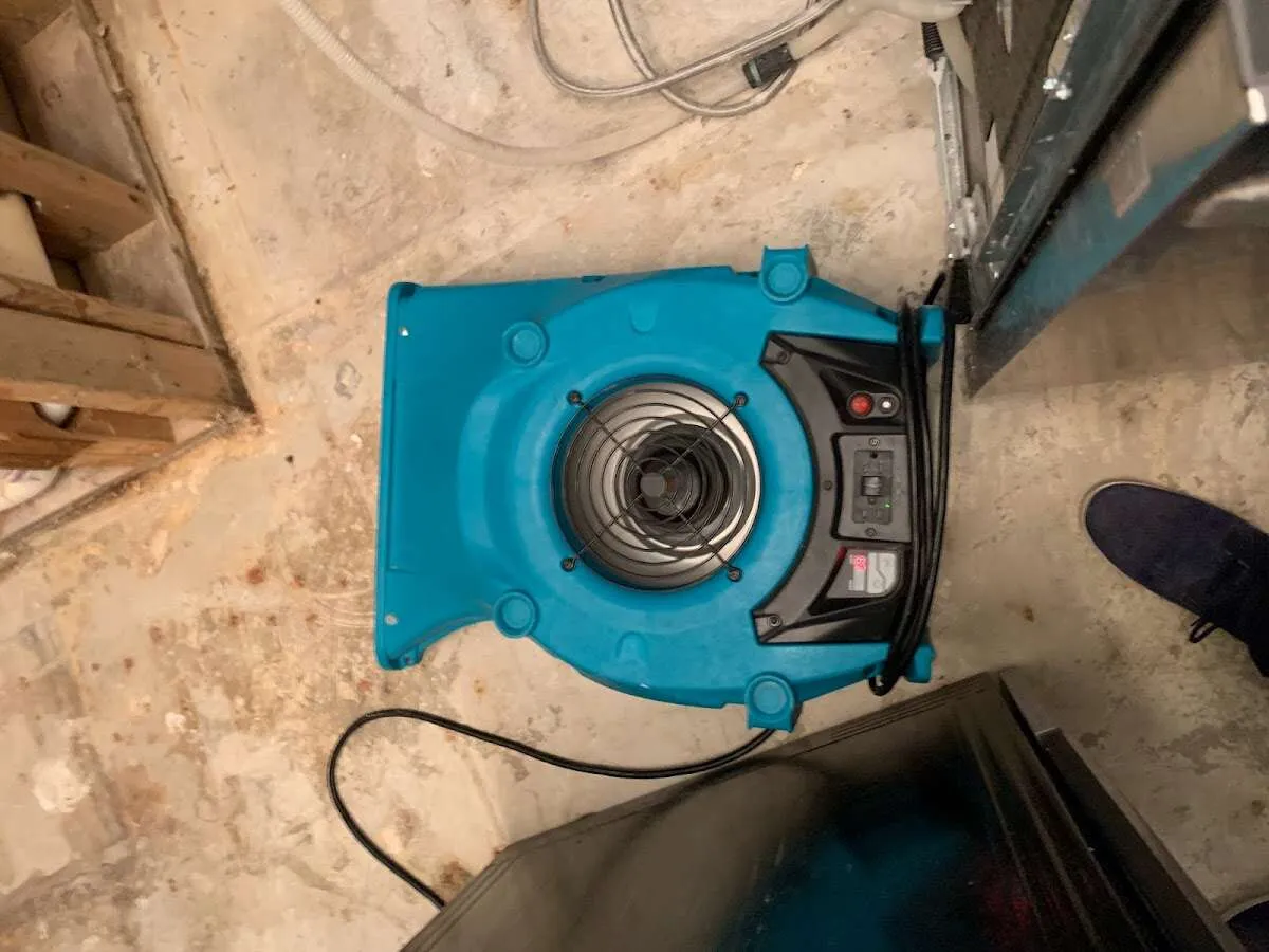 Air mover drying equipment for Mold Remediation & Removal in Royse City
